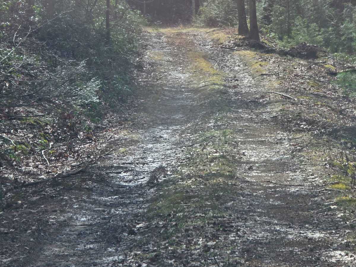 Heintz Trail photo 3