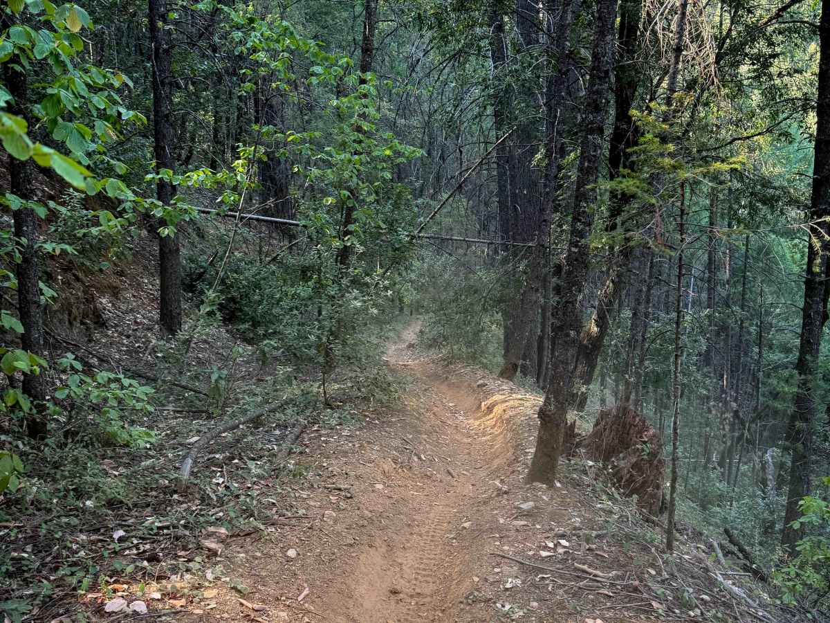 Trail 5 (11E31)   photo 4