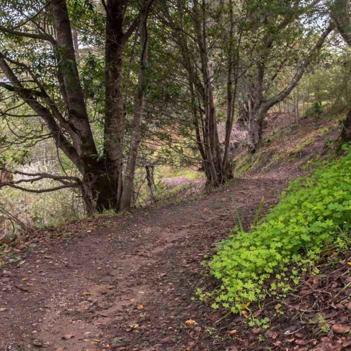Near La Corona Trail Hike