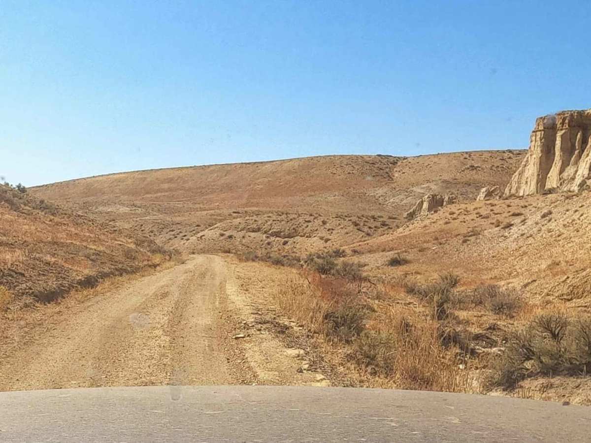 Dry Creek Road photo 4
