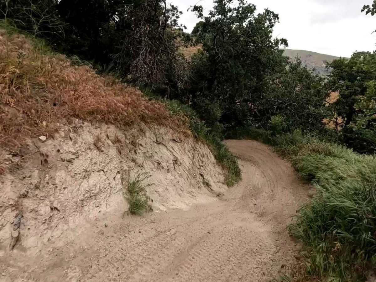 Lower Brome Trail photo 5