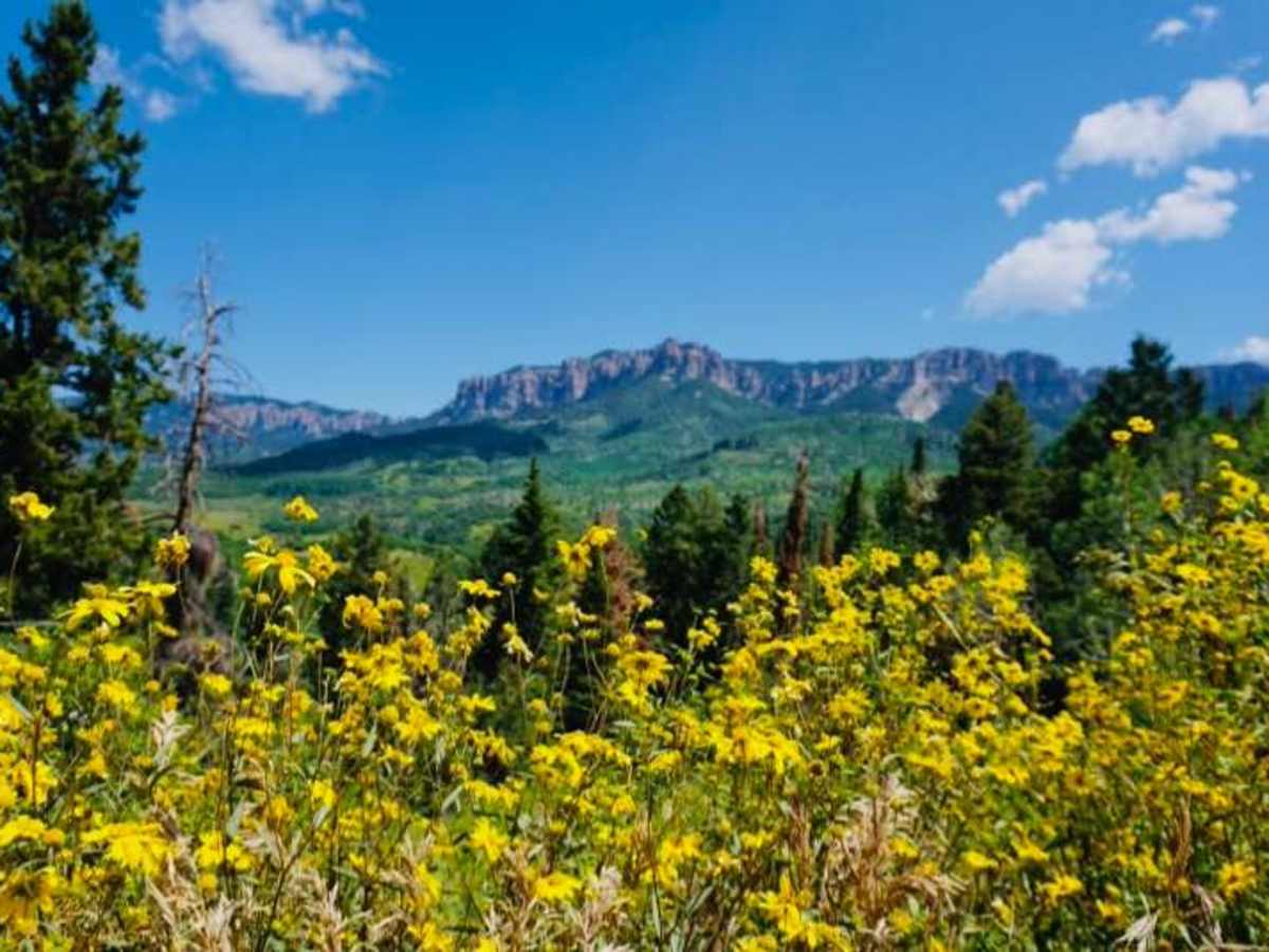 Cimarron Owl Creek Pass trail photo