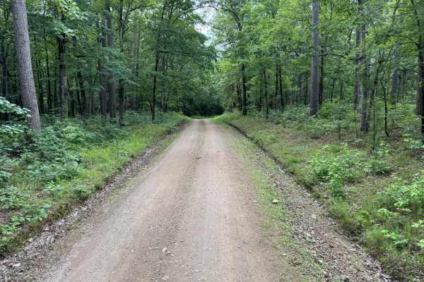 River Bluff Road