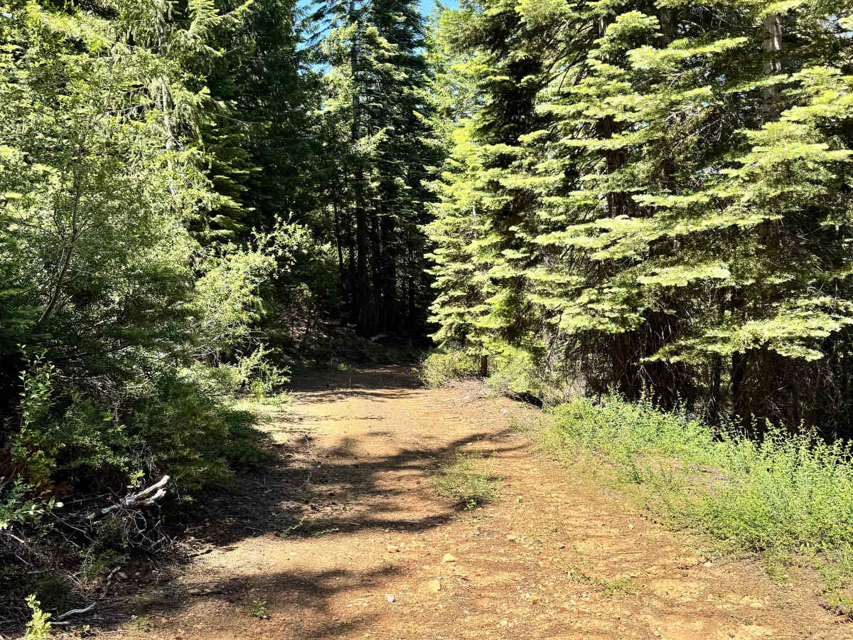 Yellow Jacket Spur photo 2