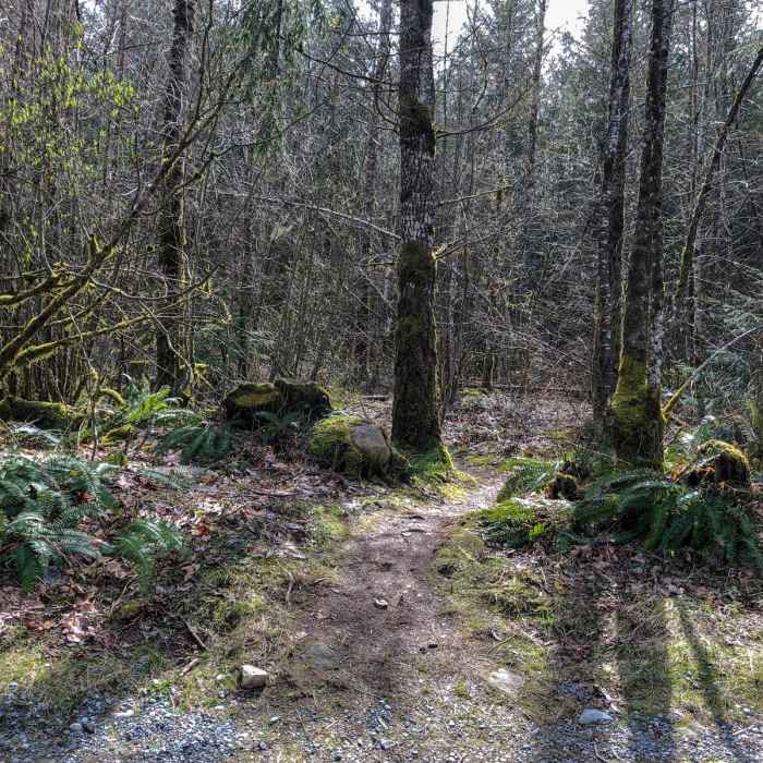 Near Racehorse Falls