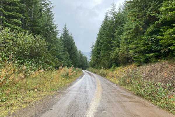 Olympic National Forest, Quilcene Range