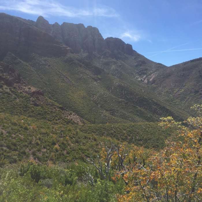 Near Mazatzal Peak Loop