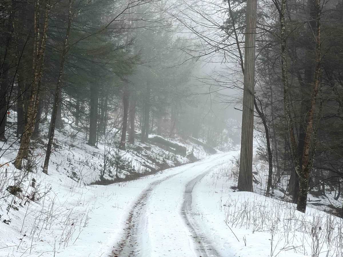 Oak Ridge Trail photo 4