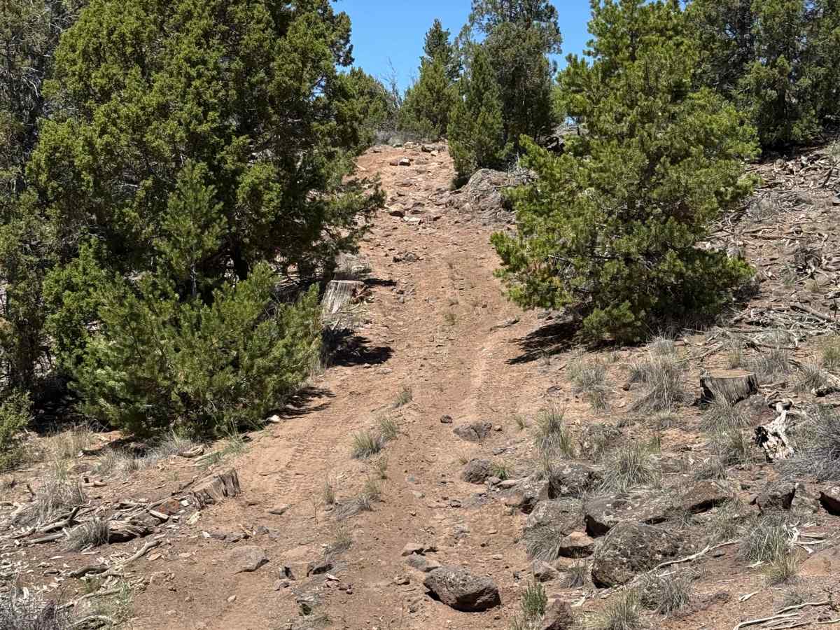 BLM 8470 photo 2