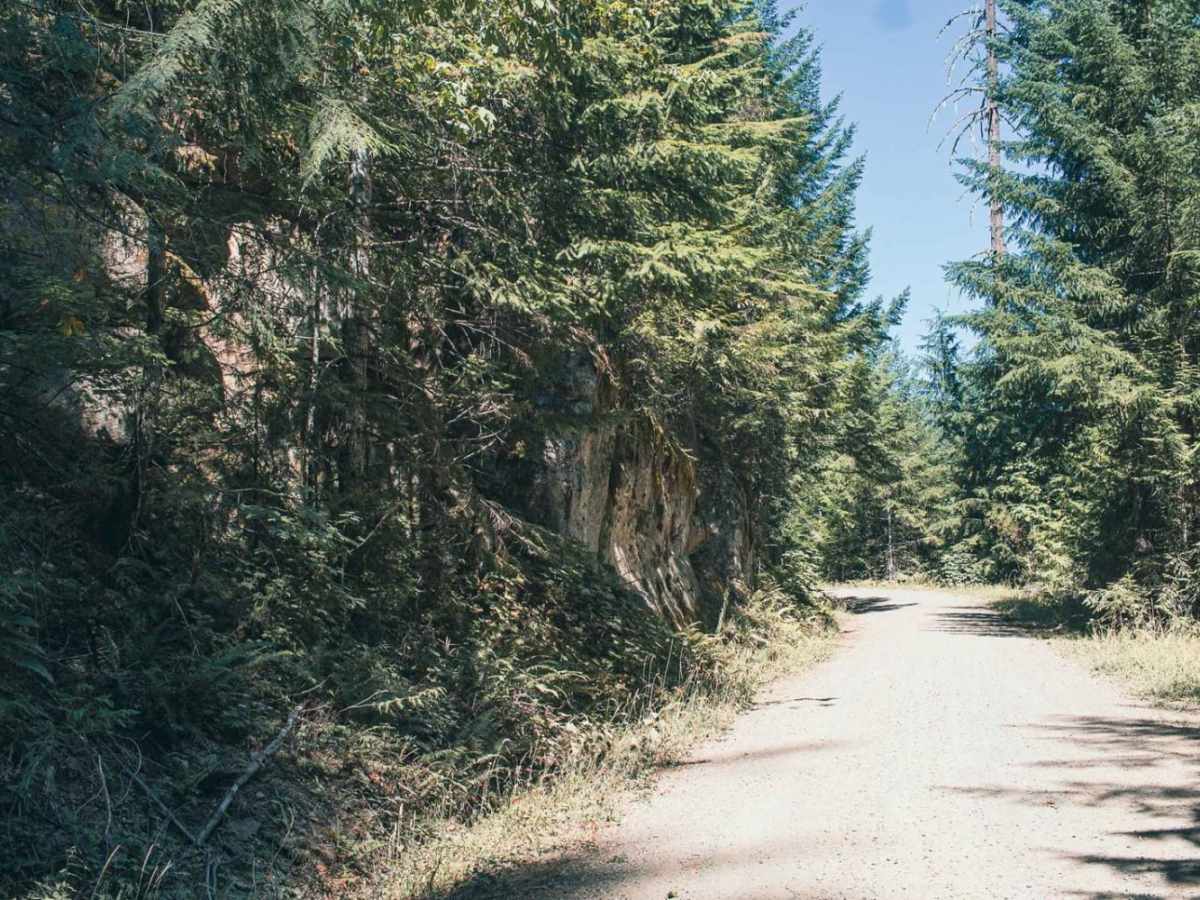 Lower Emily photo 6