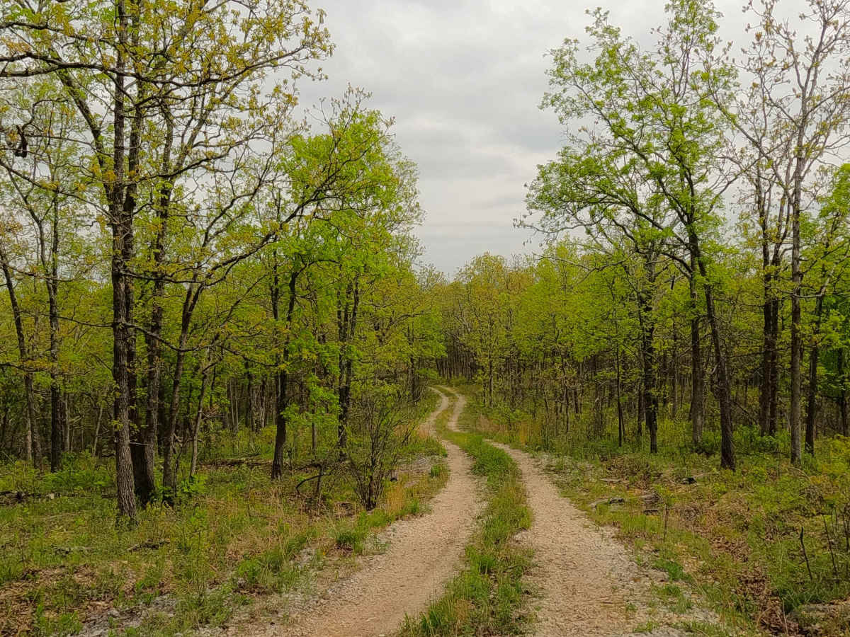 North James - FS 2743 photo 5