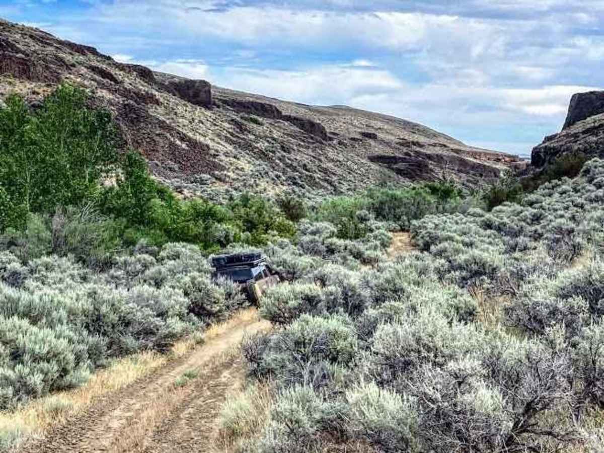 Jackknife Ridge Road photo 6