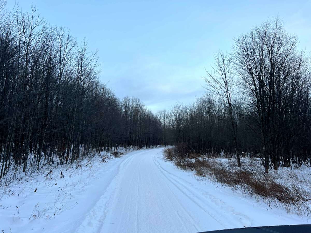 Shirks Road photo 4