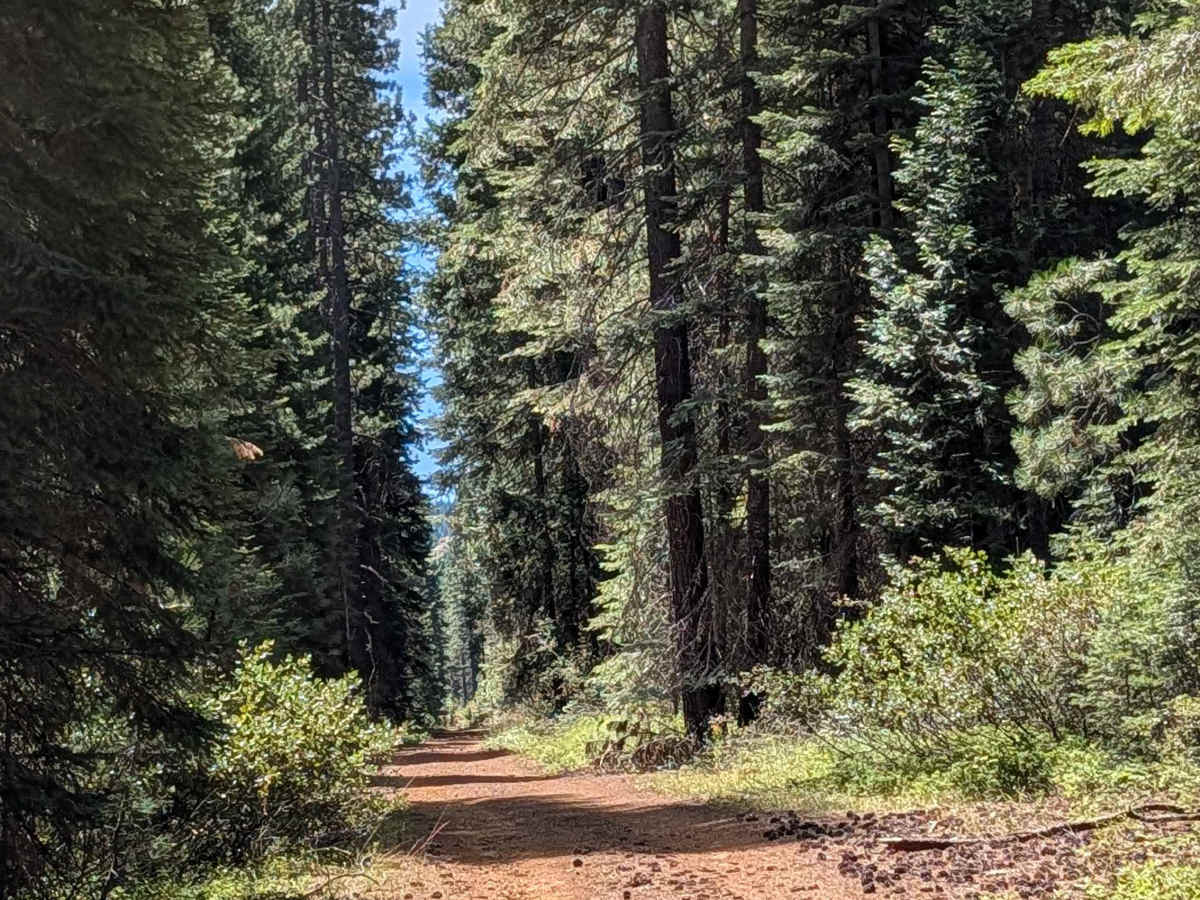 Cow Creek - FS 39N90 photo 6