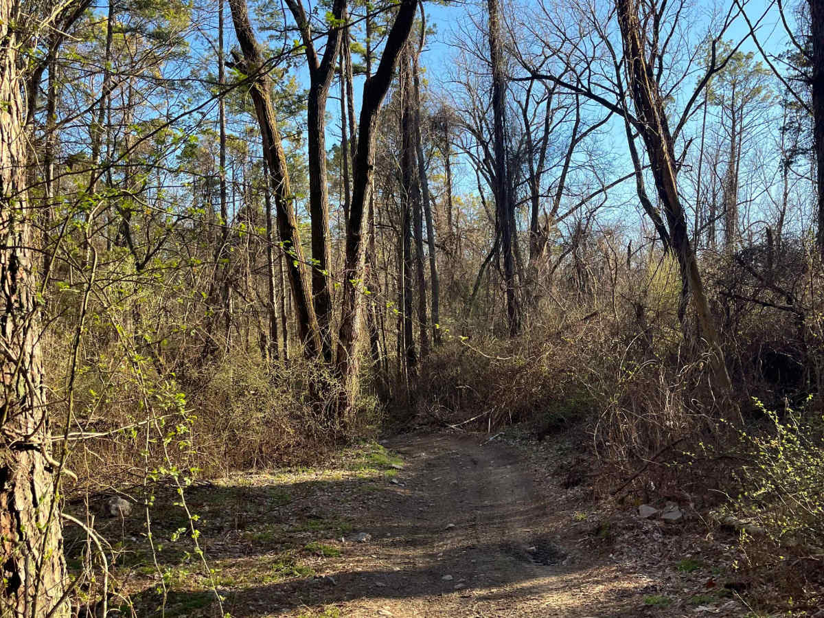 Rolling Hills Trail photo 6
