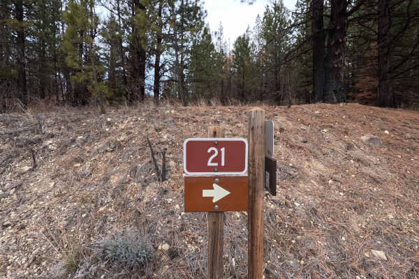 The Old Western Route - FS 21