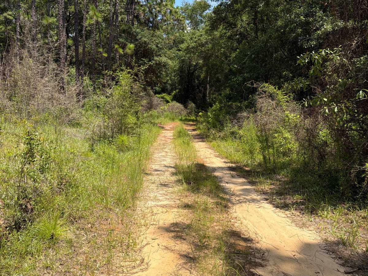 Prairie Trail photo 2