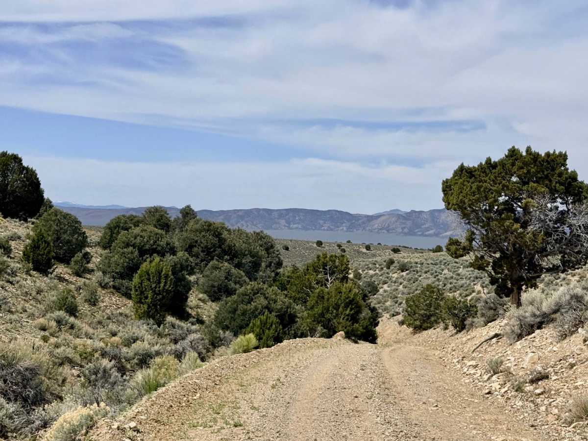 South Old Highway Road photo 5