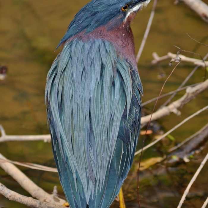 Near Lake Lynn Trail