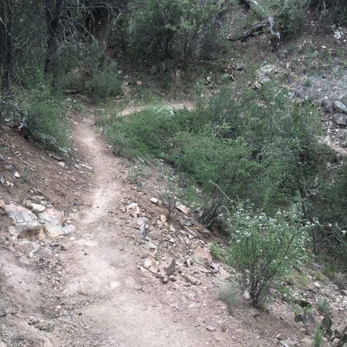 Near Gomez Peak Triple Loop