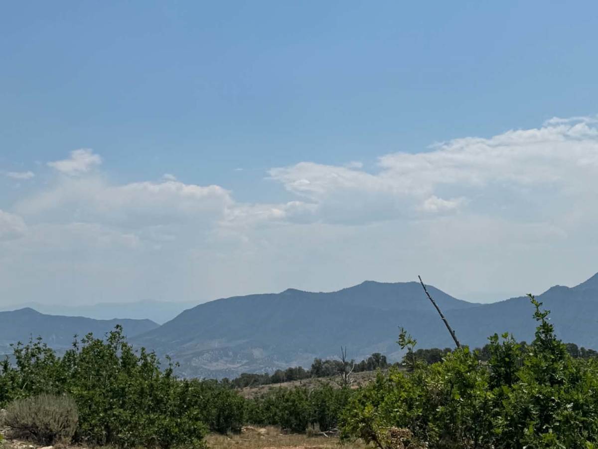 Cedar Mountain East photo 3
