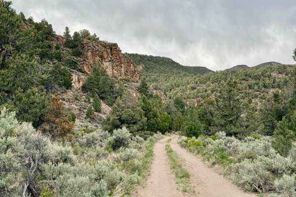 Long Canyon - FS 43375