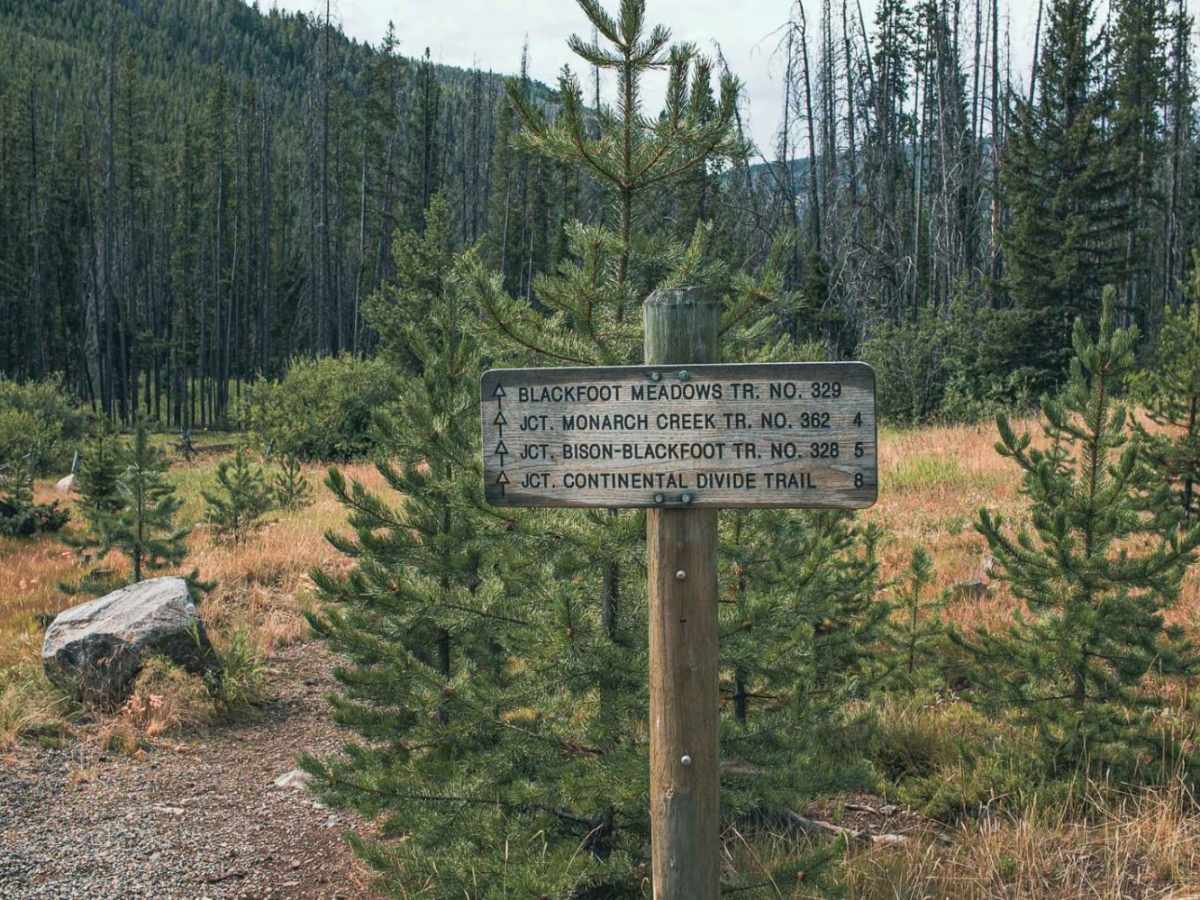 Little Blackfoot photo 4