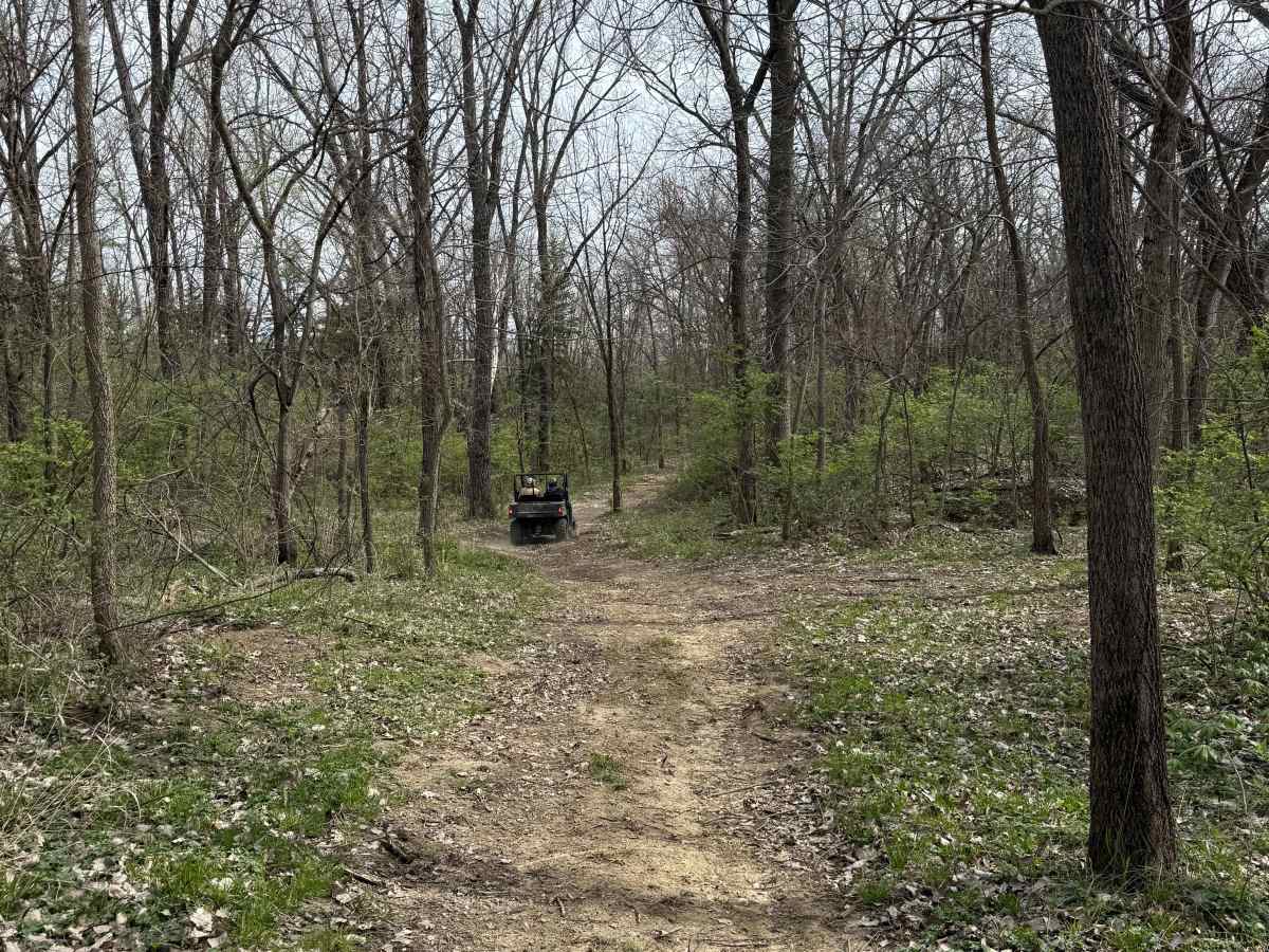 Trail # 3 photo 5