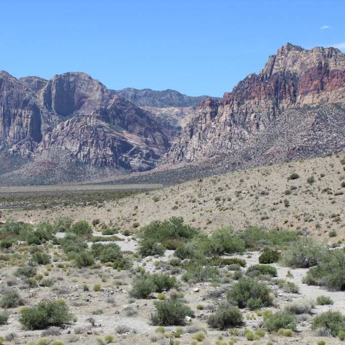 Near Turtlehead Peak Trail