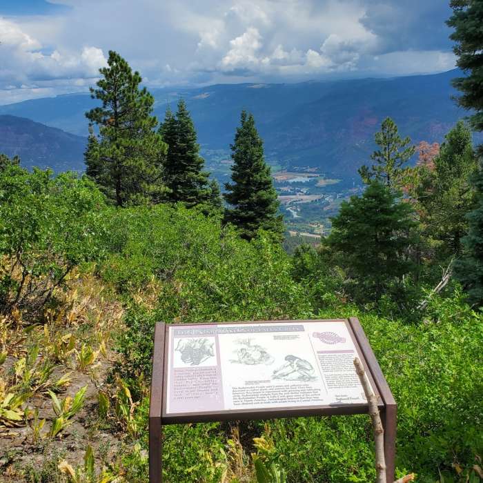 Animas Overlook view to the north. Near Animas Overlook Trail