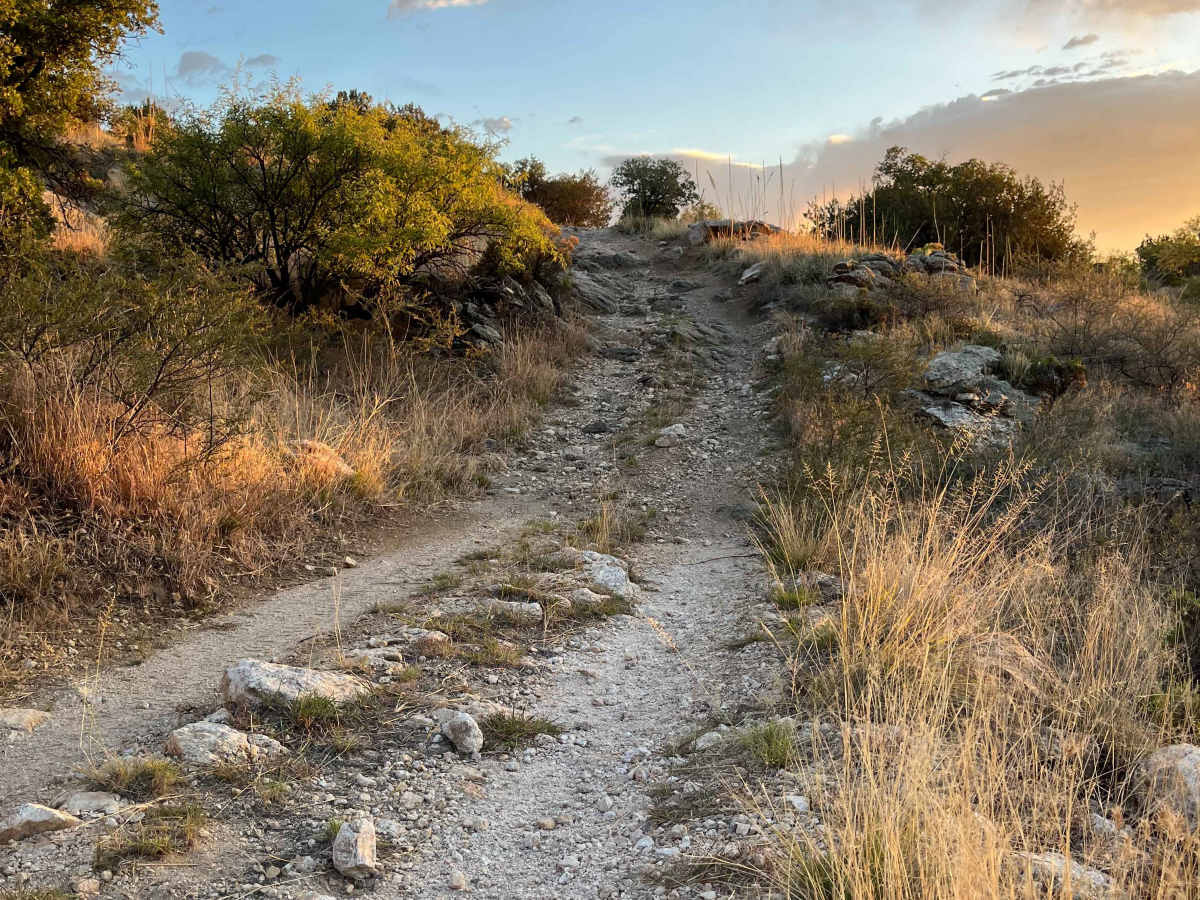 High Road photo 5