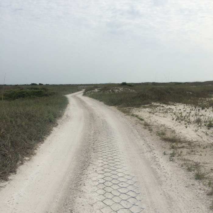 The stabilized sand road runs through dunes and scrub brush. Near Big Bend Scenic Byway and Beach Loop