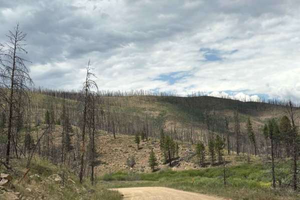 Bill Miller Trailhead Access Road