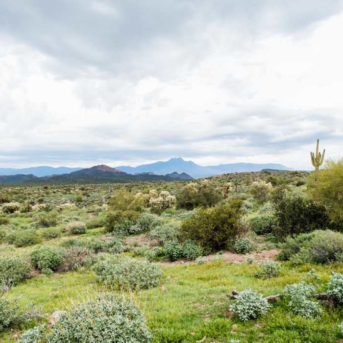 Near Treasure Loop Trail