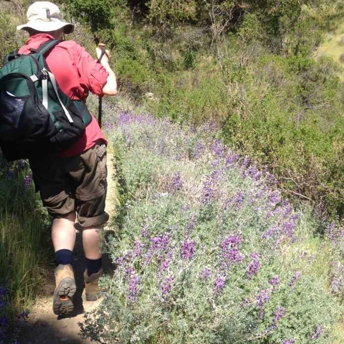 Near Bald Mountain Trail