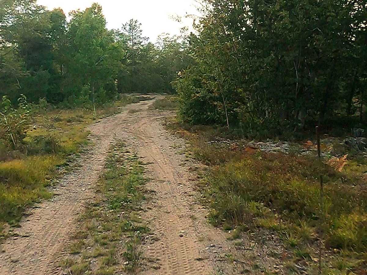 Airfield Road South - FS 3020 photo 4
