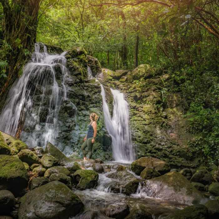 Near Waiakeakua Stream Near Waiakeakua Stream