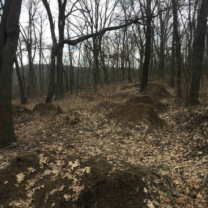 Near Cool Spirit Loop