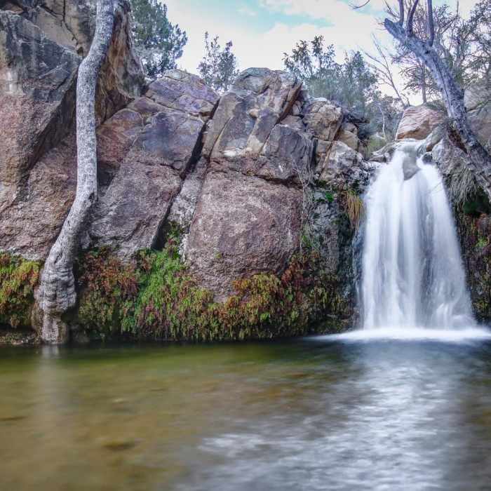 Near First Creek Pool + Waterfall