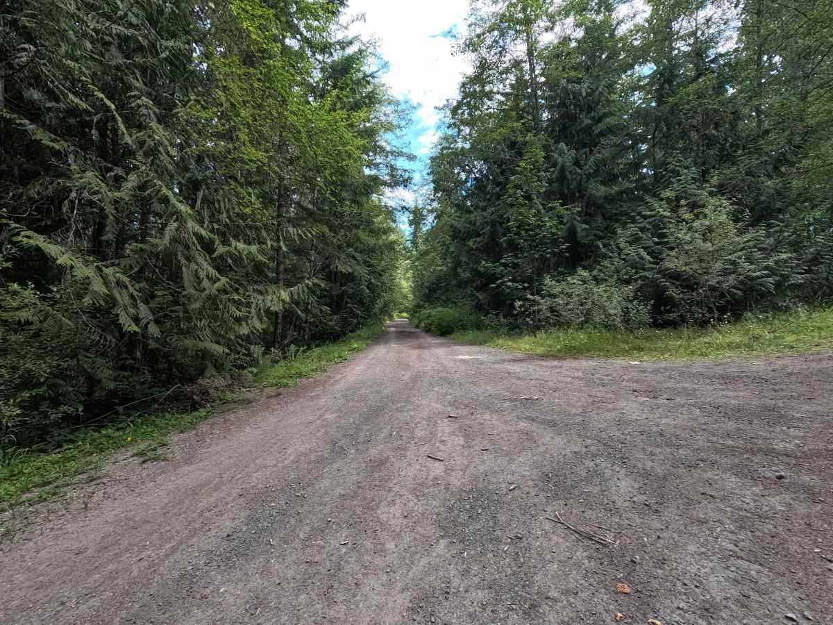 FS 2870050 trail photo