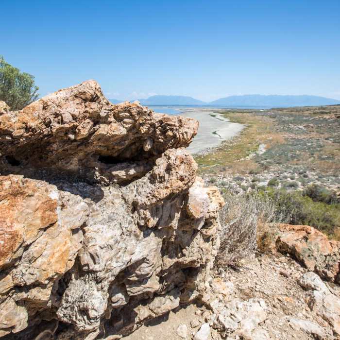 Near Lady Finger Point