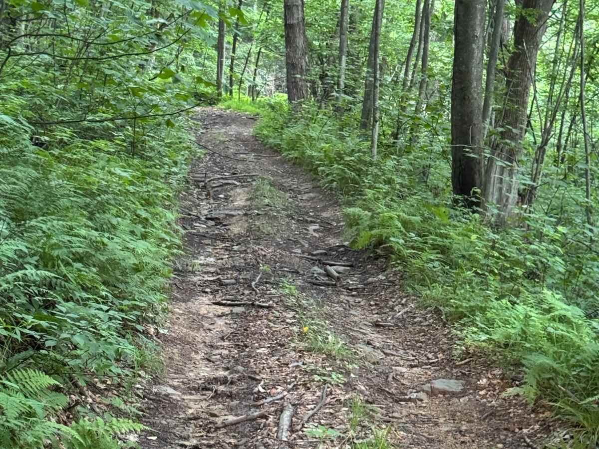 Trail 28 photo 6