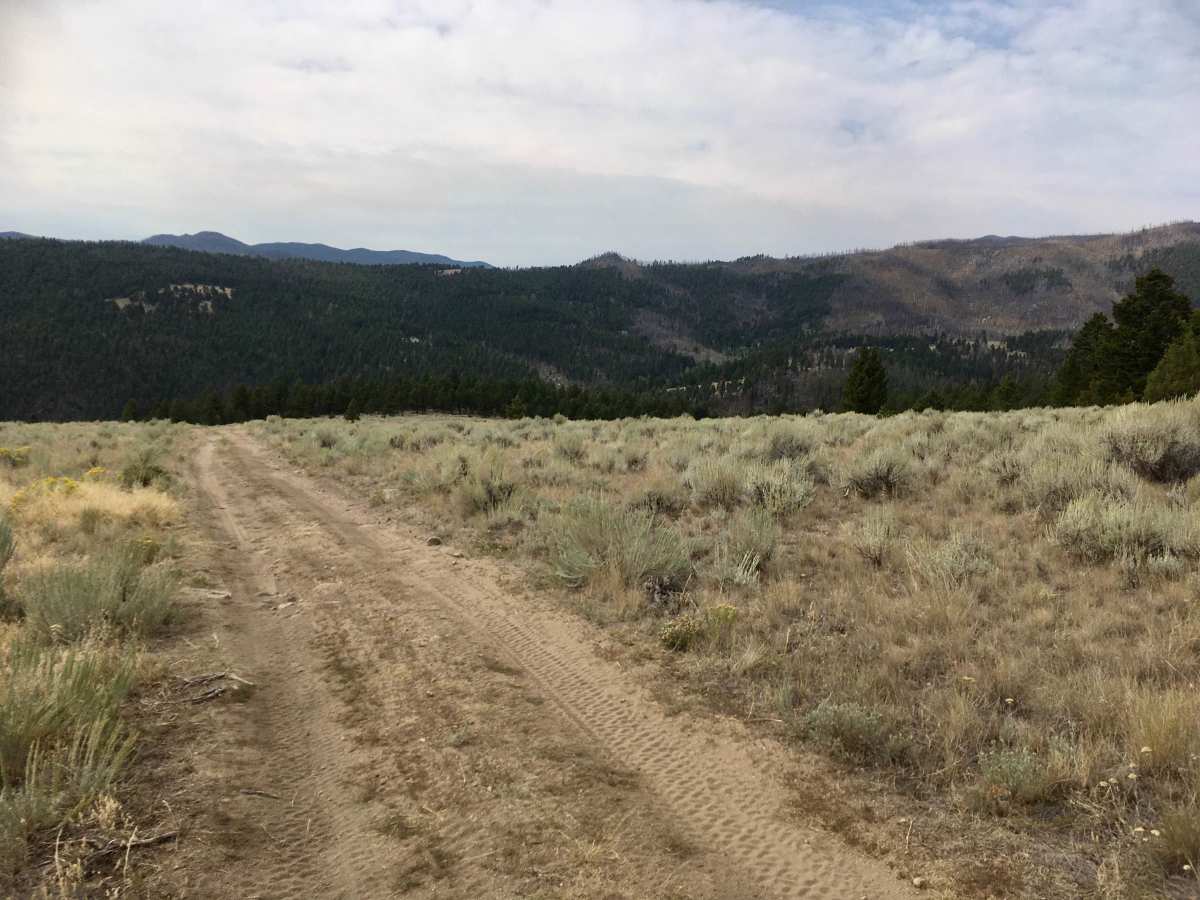 North Fork Trail photo 2