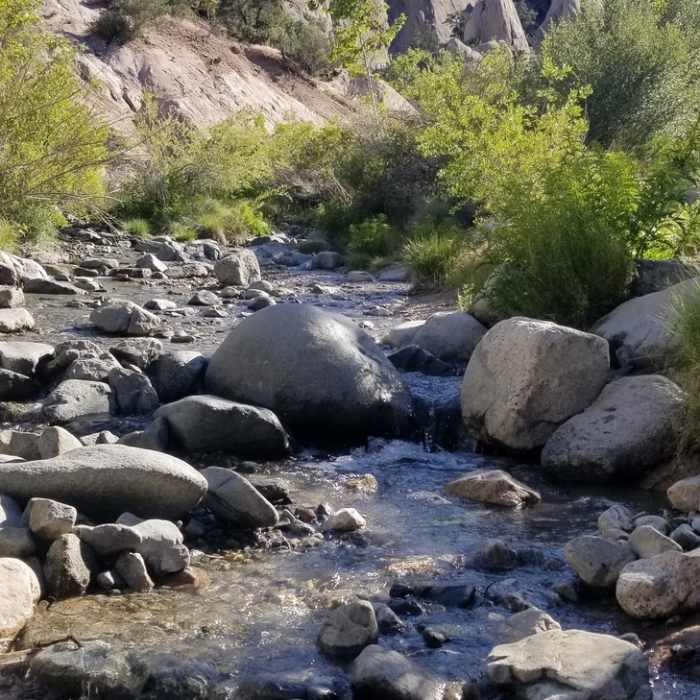 Near Devil's Punch Bowl Loop