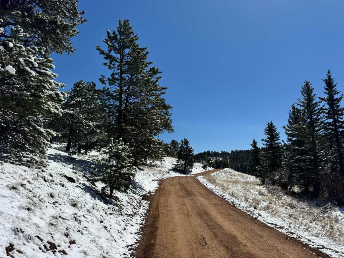 Yucca Road - FS 359 photo 5