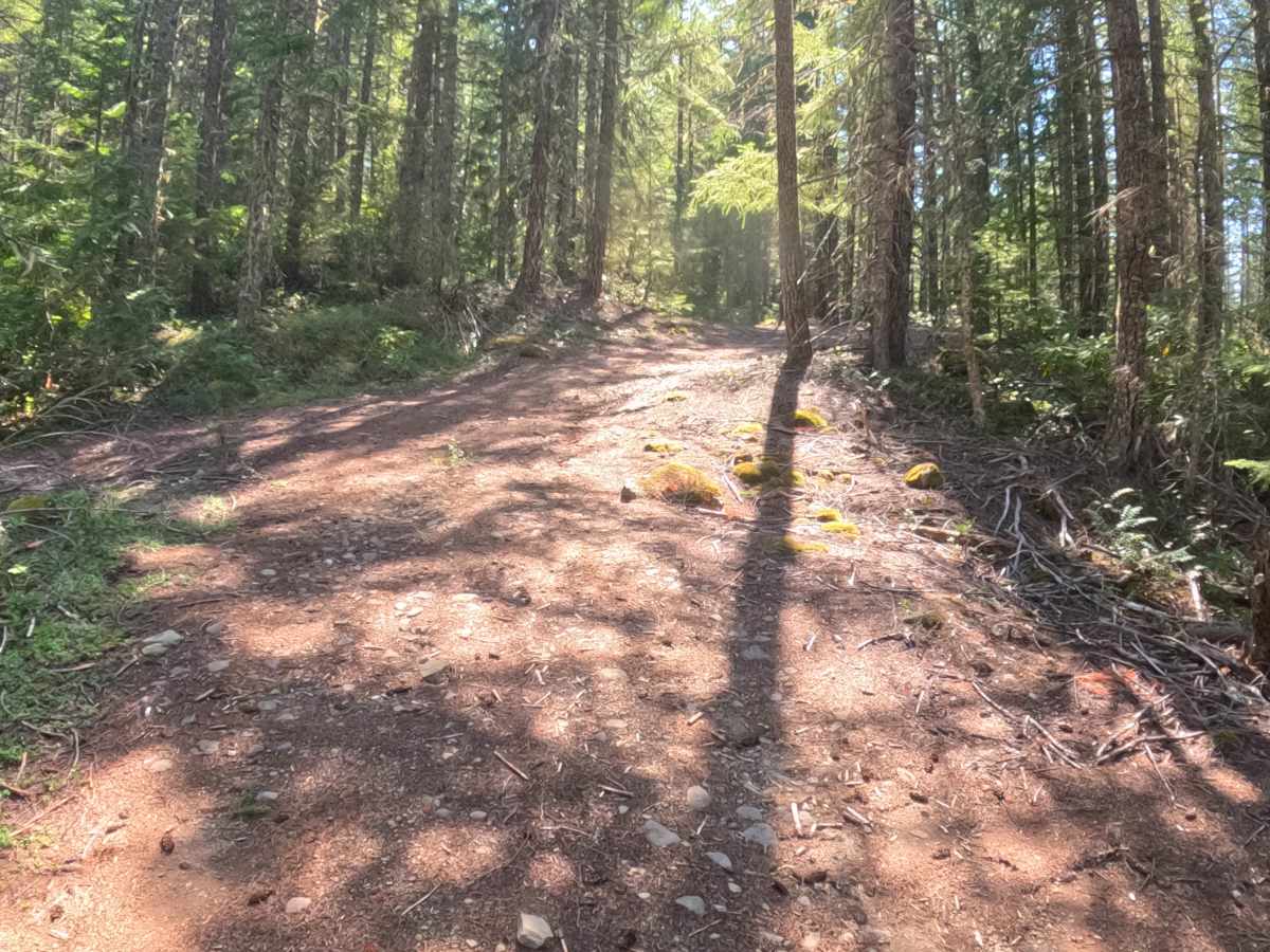 Presley Lake Turnoff - FS 2257516 photo 6