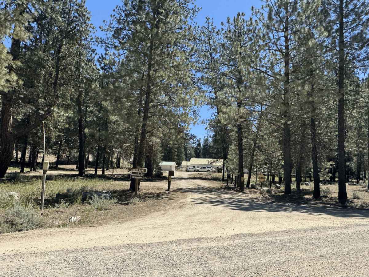 South Fork River Road photo 3