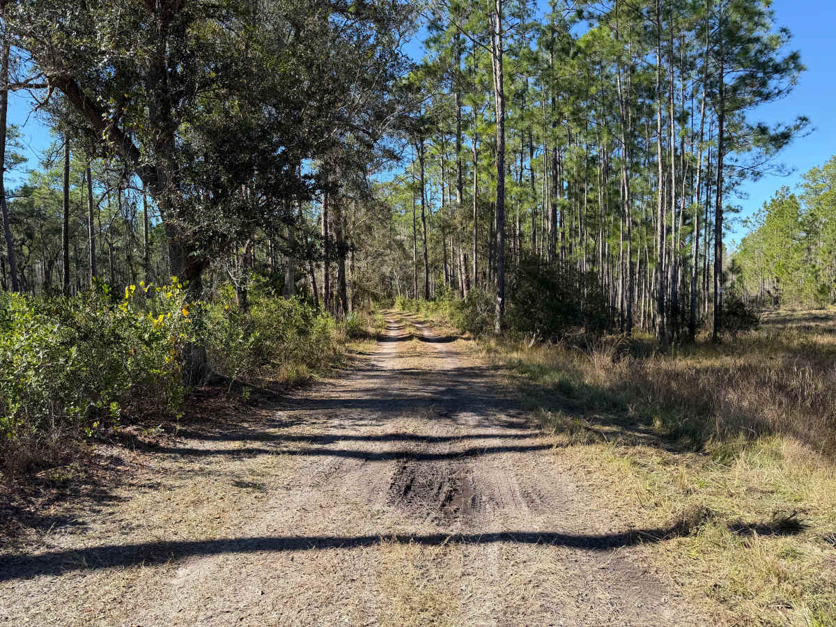 Tram Grade trail photo