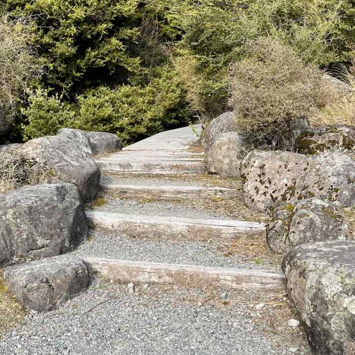 Near Red Tarns Track