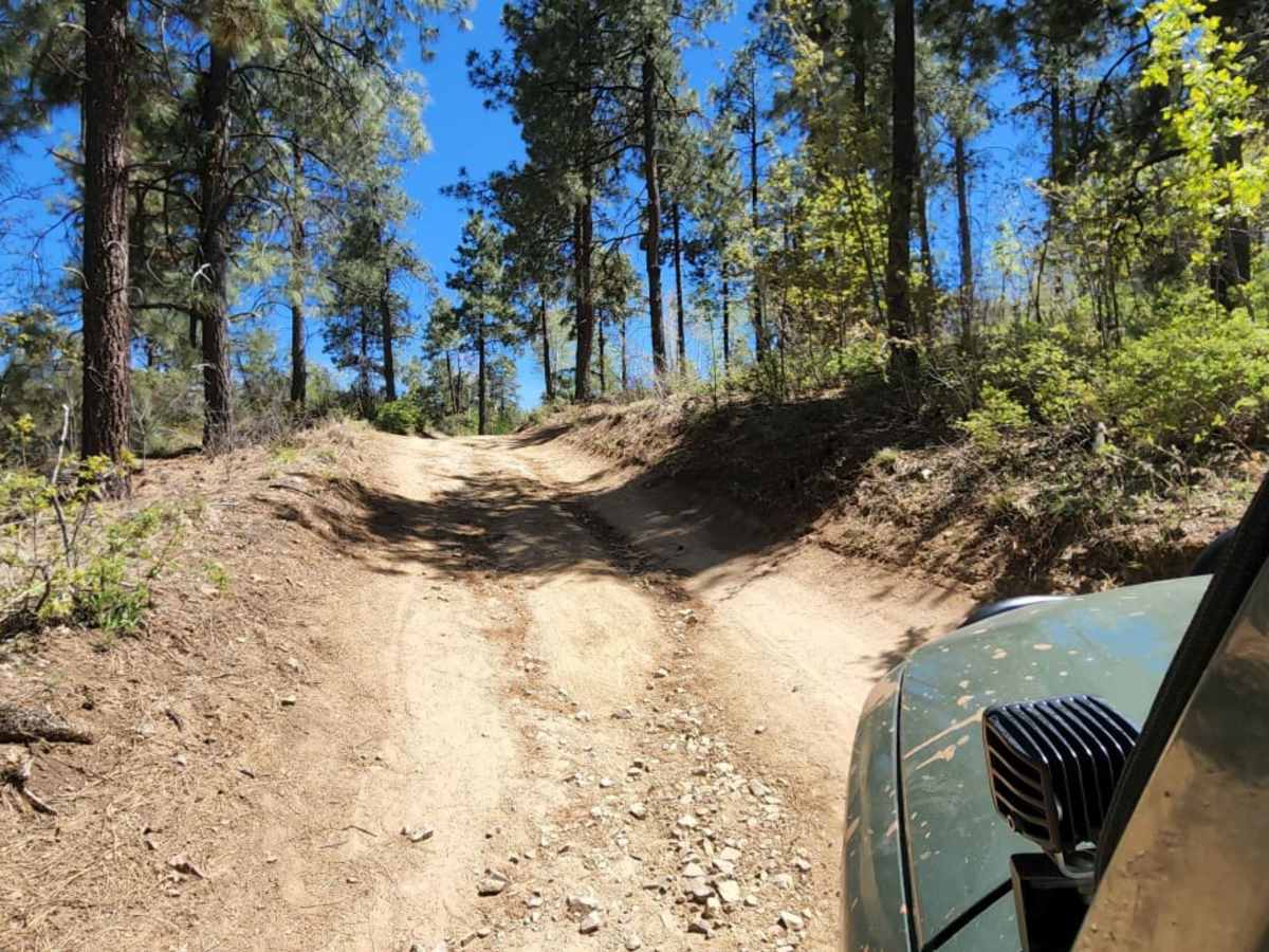 009402D trail photo
